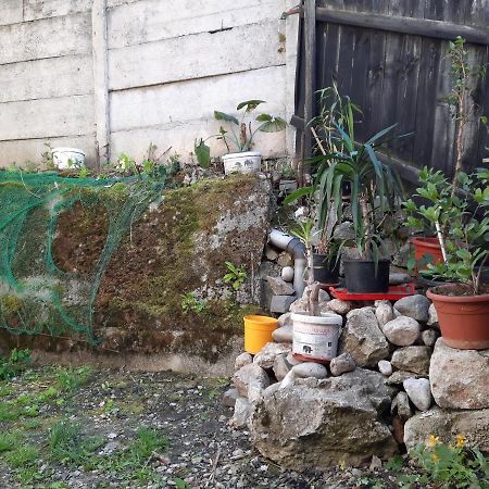 Casa Adrian Camere Centru Vechi Braşov Buitenkant foto