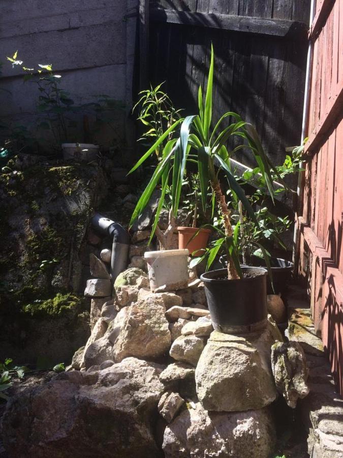 Casa Adrian Camere Centru Vechi Braşov Buitenkant foto